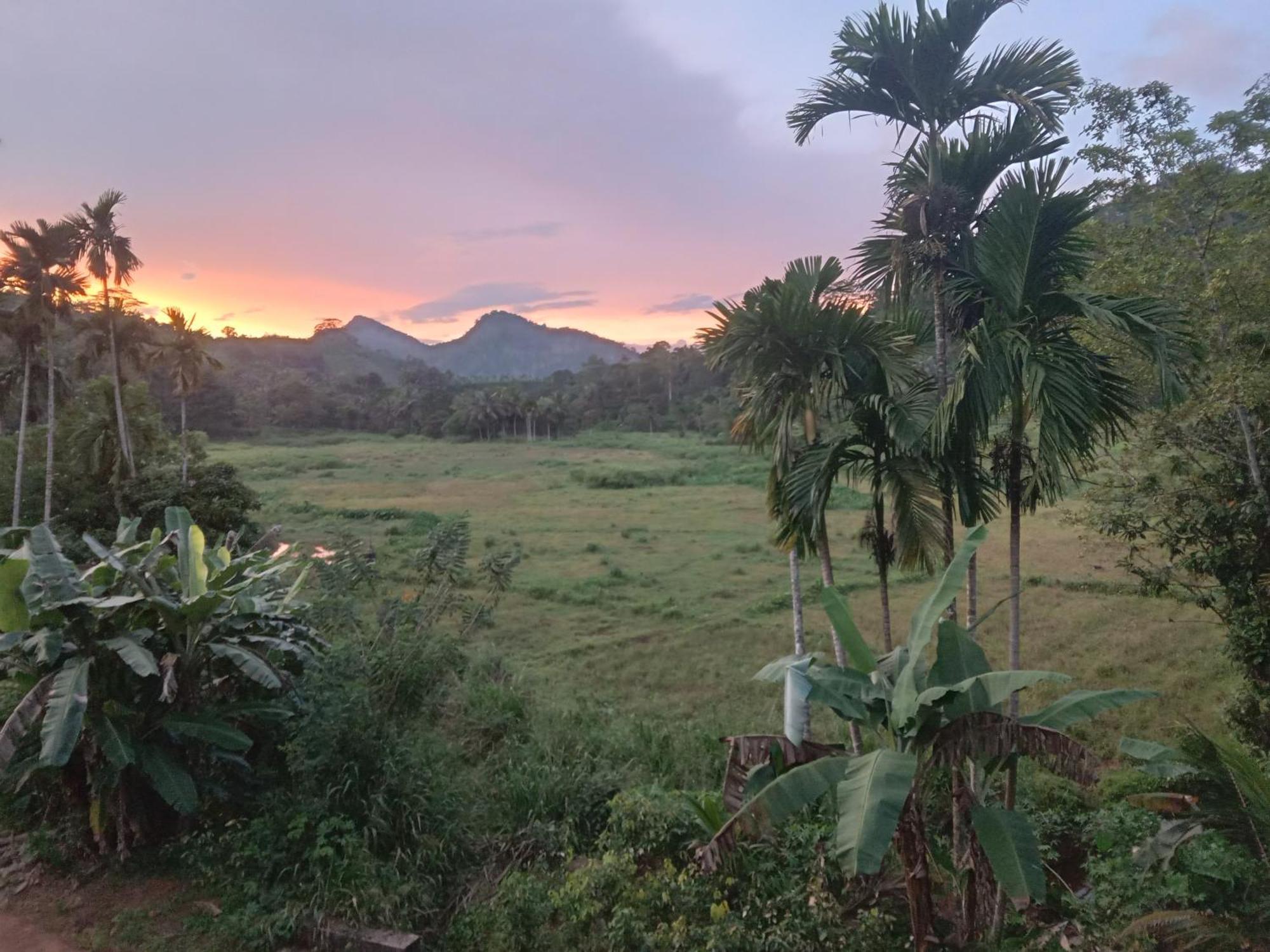 Rainforest Holiday Inn 데니야야 외부 사진