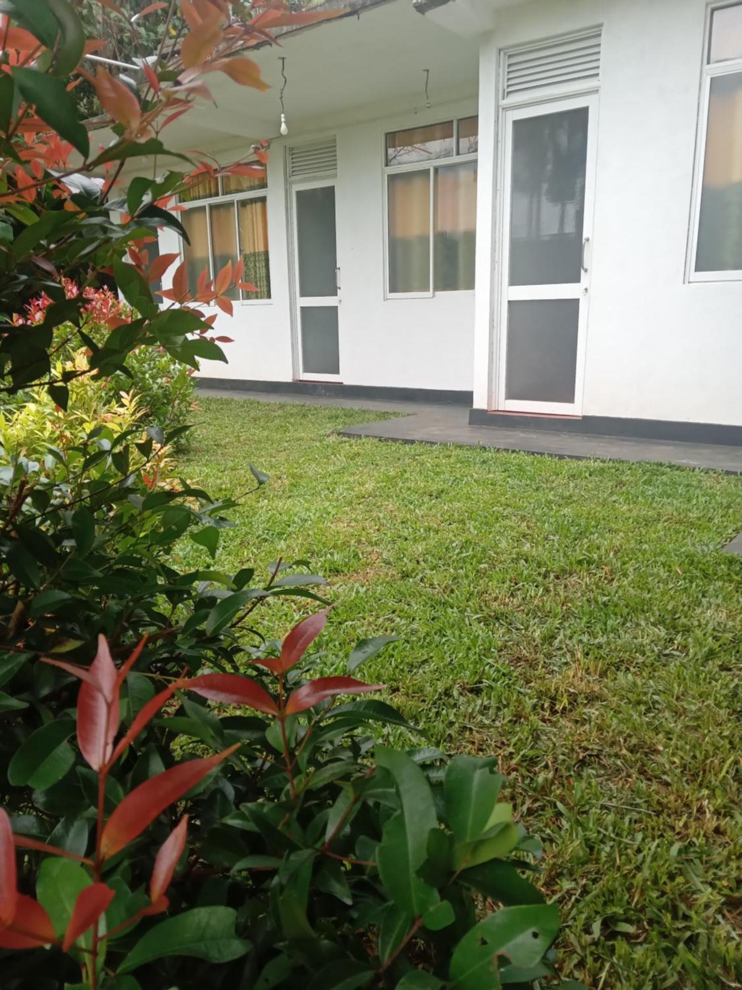 Rainforest Holiday Inn 데니야야 외부 사진