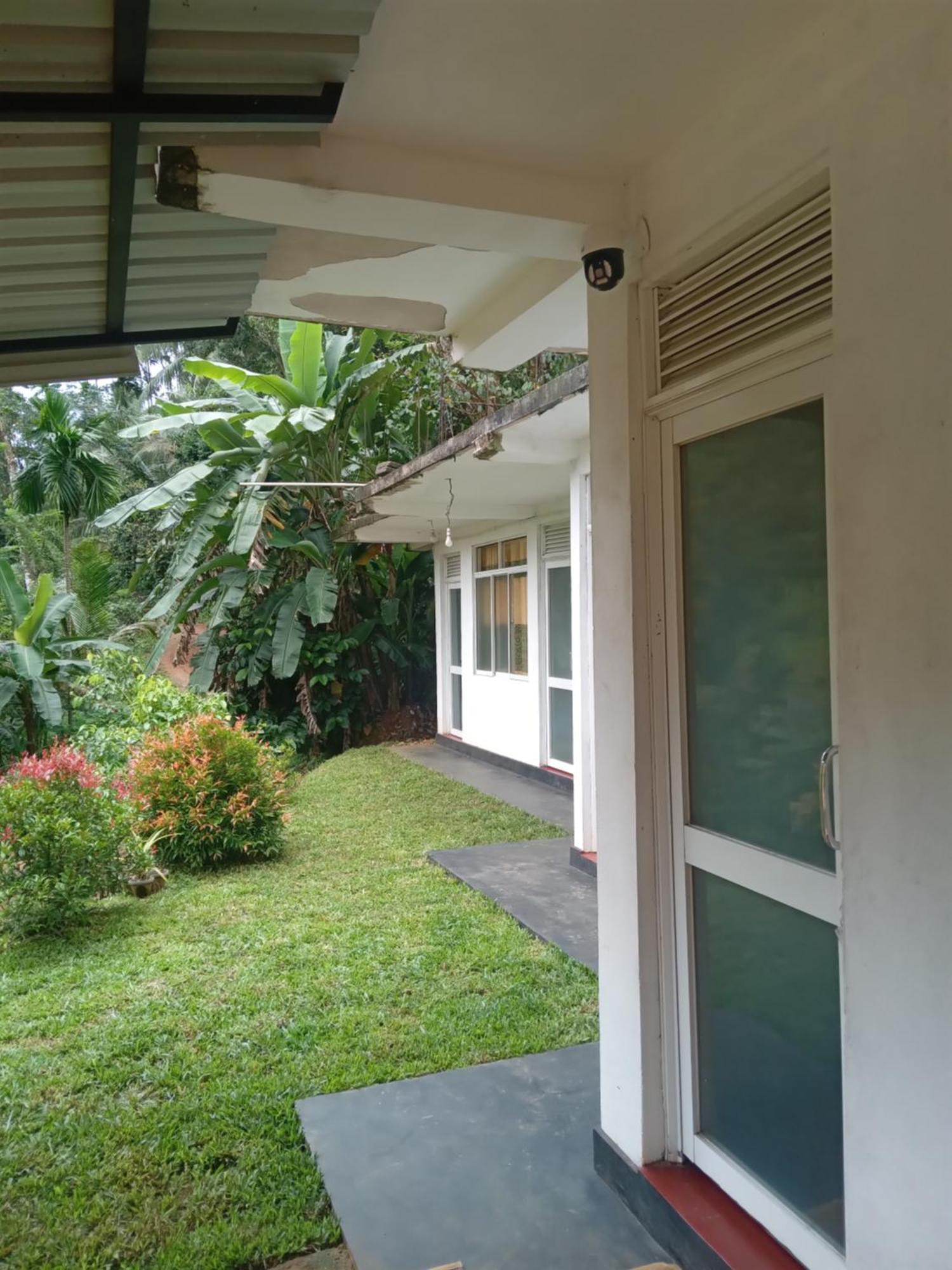Rainforest Holiday Inn 데니야야 외부 사진