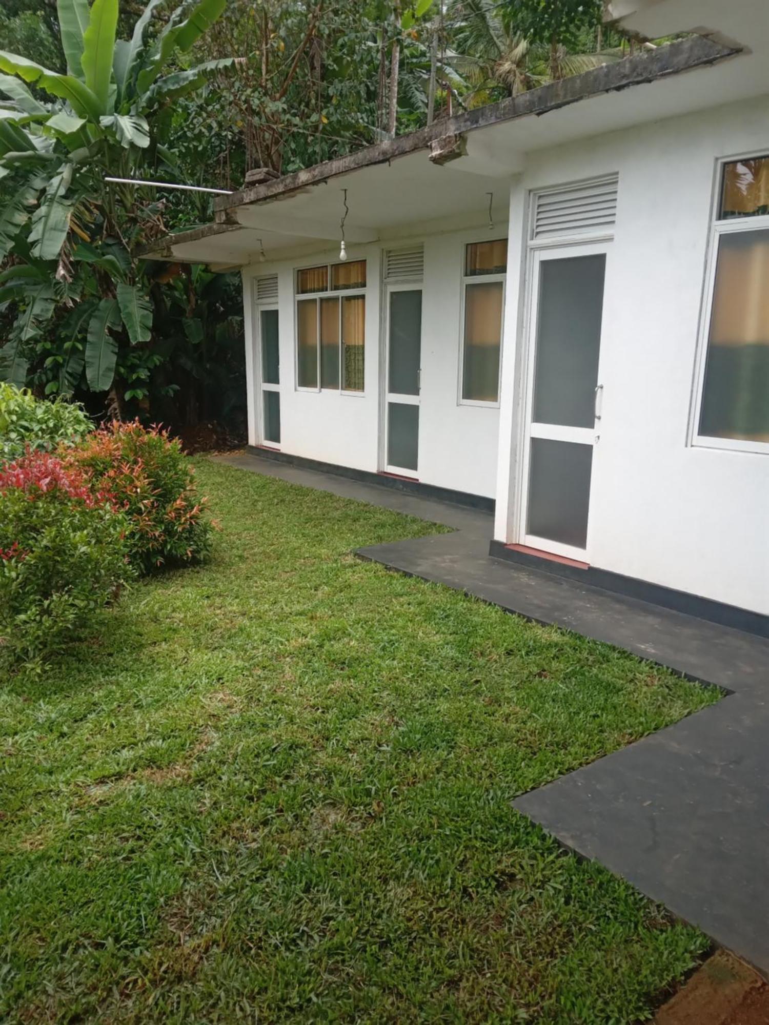 Rainforest Holiday Inn 데니야야 외부 사진