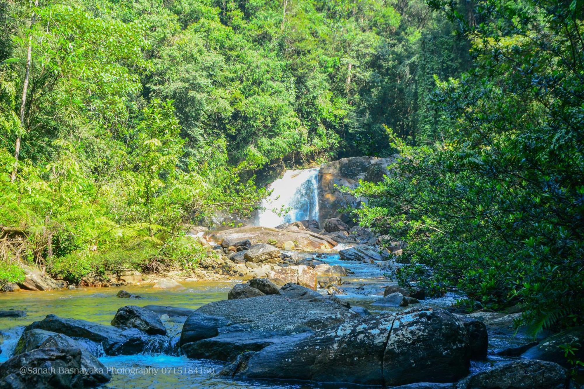 Rainforest Holiday Inn 데니야야 외부 사진