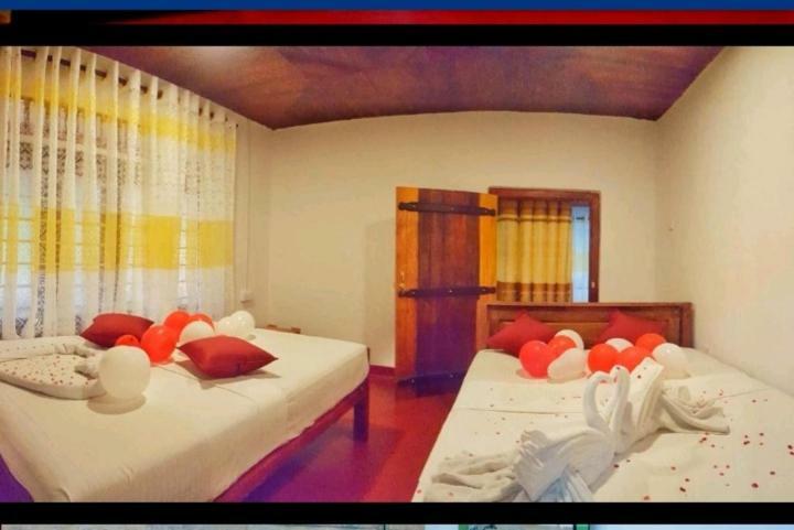 Rainforest Holiday Inn 데니야야 외부 사진