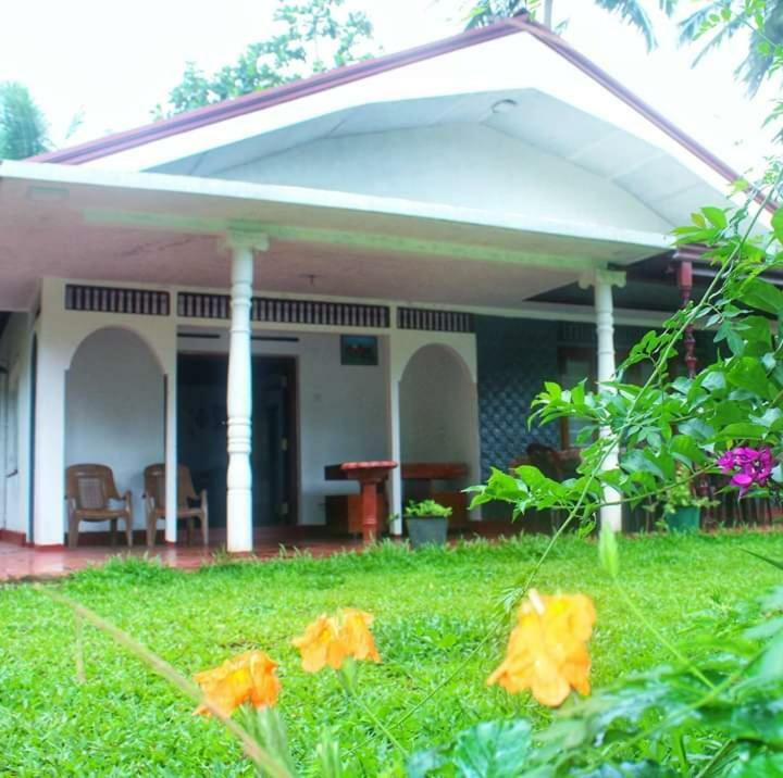 Rainforest Holiday Inn 데니야야 외부 사진