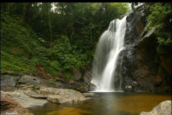 Rainforest Holiday Inn 데니야야 외부 사진